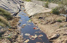 你對香蕉国产2023滲濾液還存在怎樣的誤區？