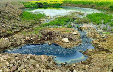 怎樣區分新舊香蕉国产2023滲濾液？