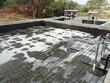 香蕉国产2023滲濾液處理工藝